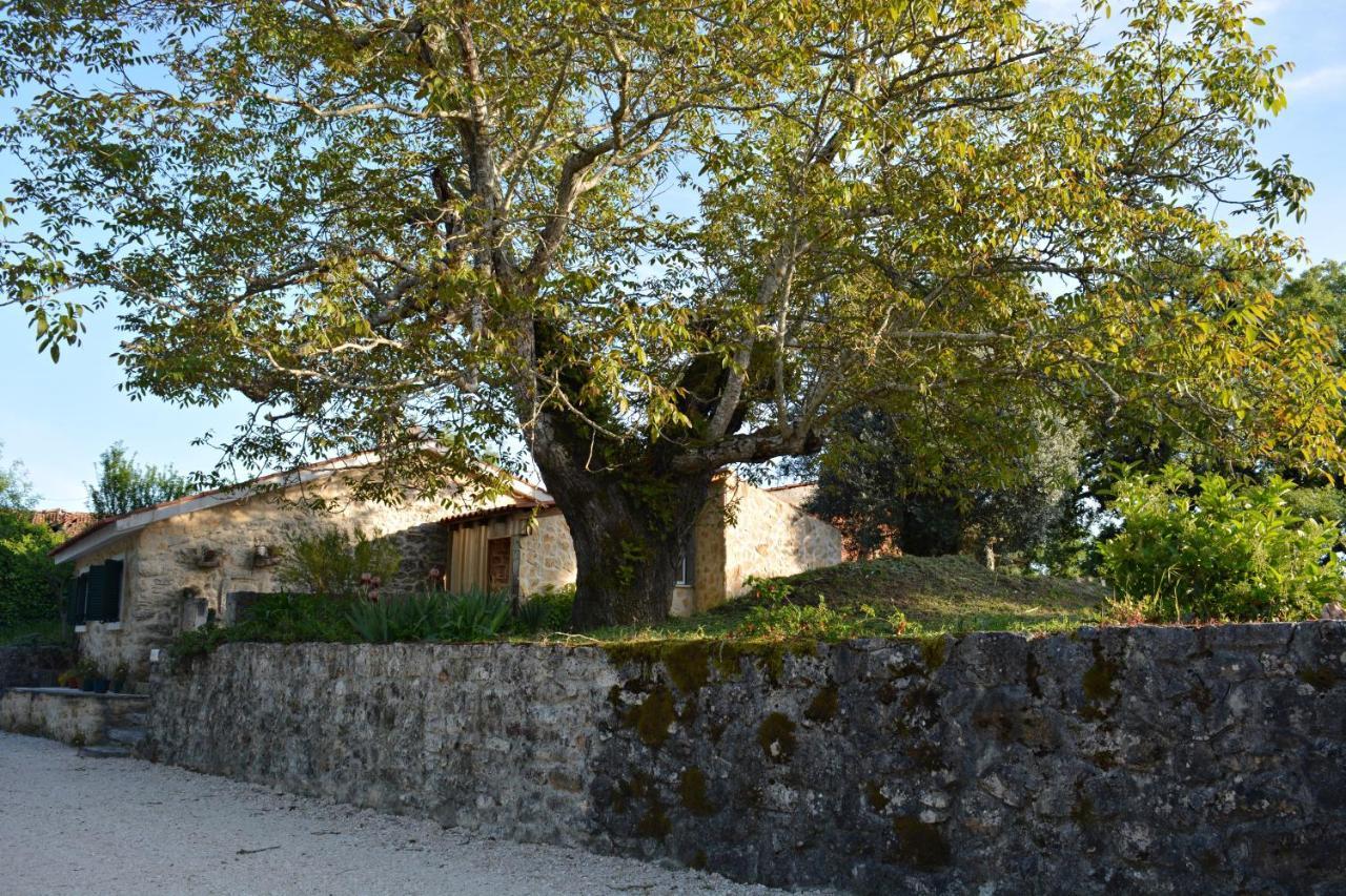 فيلا Casa Da Pedra أنسياو المظهر الخارجي الصورة