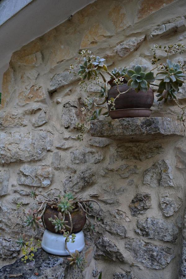 فيلا Casa Da Pedra أنسياو المظهر الخارجي الصورة